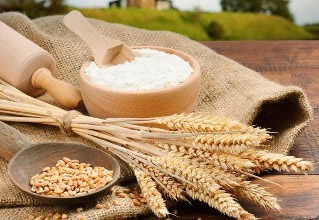 小麦淀粉是澄粉吗