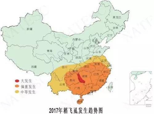 2017年全国玉米主要病虫害发生趋势预报保证蜡质玉米淀粉增长